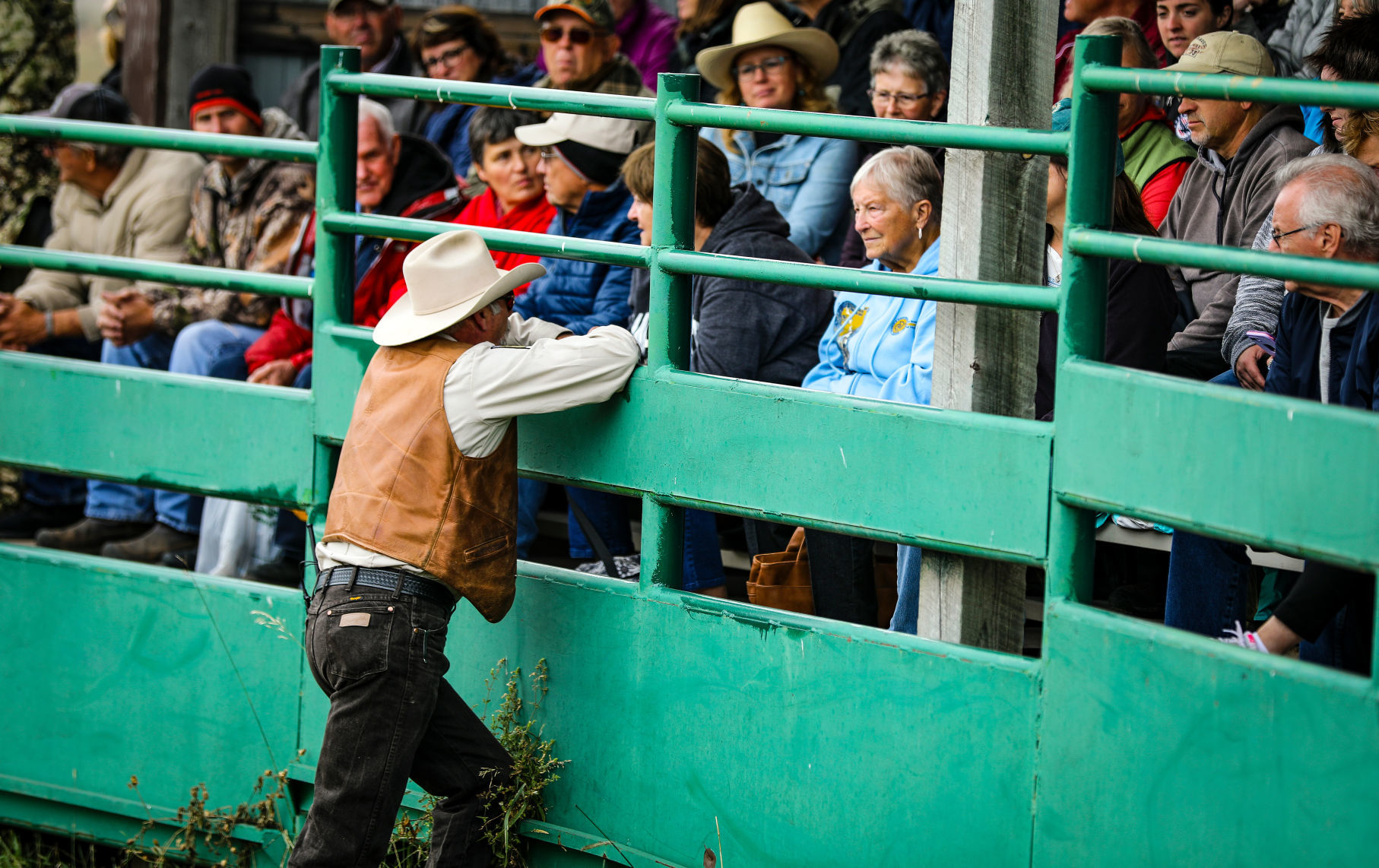 54th Annual Buffalo Roundup at Custer State Park